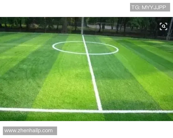 足球场草皮技术揭秘
